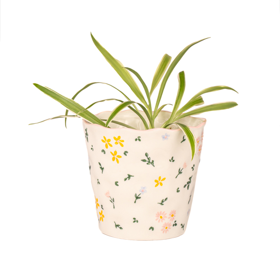 buy indoor bamboo plants Lucky Bamboo – Mari's Gardens