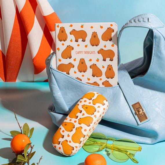 Rainbow Unicorn Seeing Is Believing Glasses Case - Sass and Belle Trade