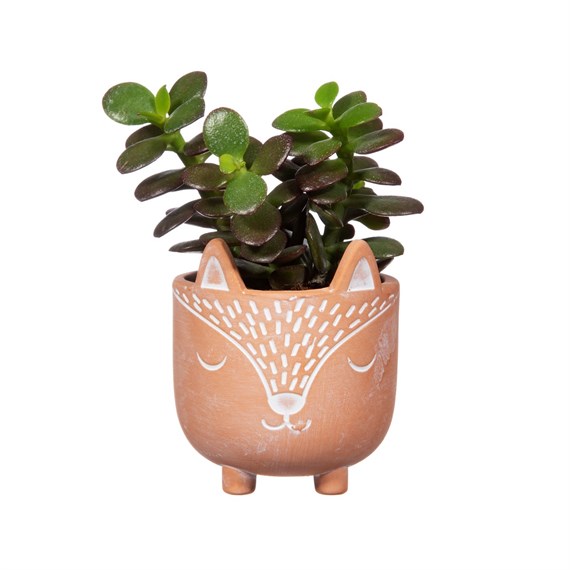 Sass & Belle Vaso In Ceramica Per Piante Grasse – Design Volpacchiotto Del Bosco, Collezione Woodland Baby