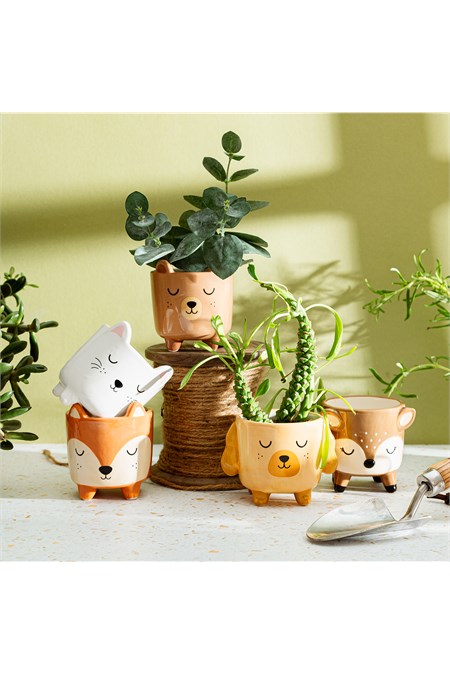 Fun Plant Pots | Indoor Planters | Sass & Belle