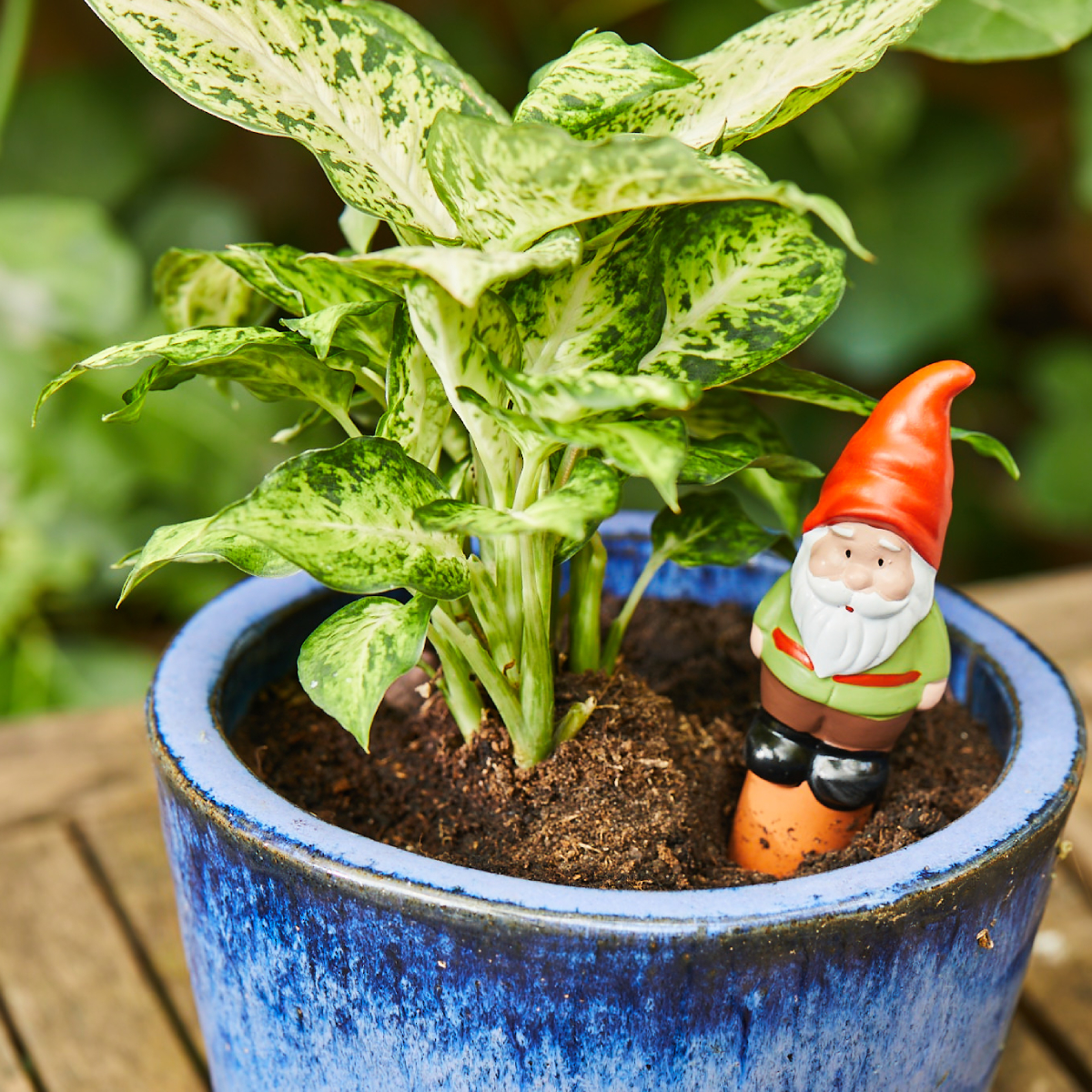 Garden Gnome Watering Can