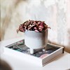 Mojave Grey Planter