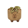 Mojave Capybara Planter