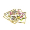 Flower Print Glass Coasters