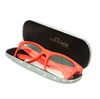 Barney The Dog Glasses Case