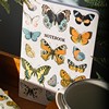 Vintage Butterflies A5 Notebook