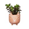 Mini Woodland Fox Terracotta Planter