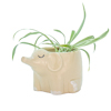 Elephant Mini Planter