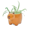 Capybara Planter