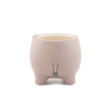 Hippo Planter