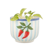 Handpainted Chilli Pepper Planter