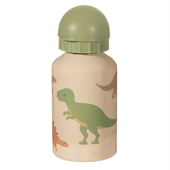 Desert Dino Metal Kids' Water Bottle