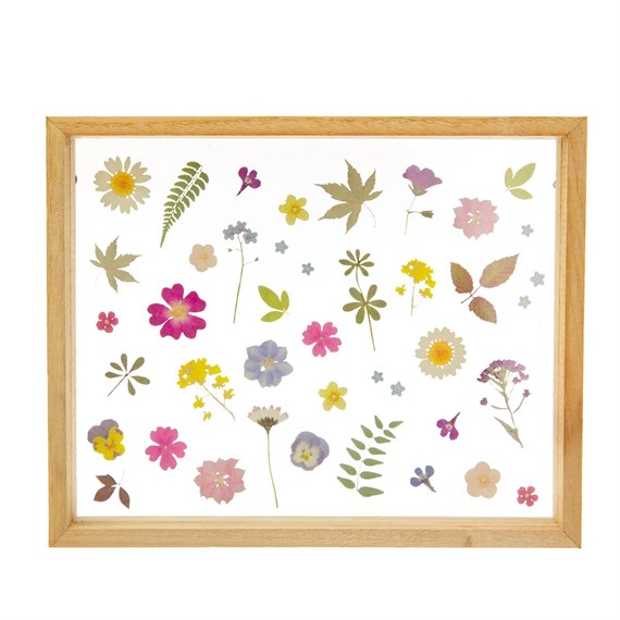 Pressed Flowers Framed Wall Art