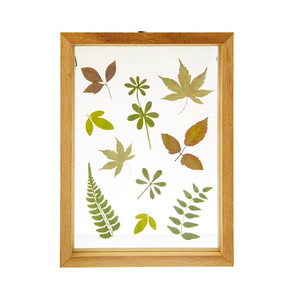 Herbarium Leaves Floating Frame