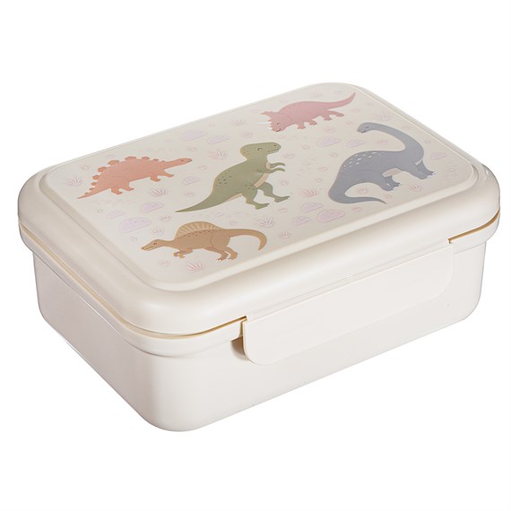 Desert Dino Lunch Box