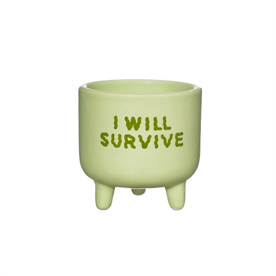 I Will Survive Mini Planter