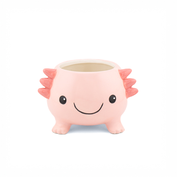 Axolotl Planter