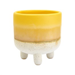 Mojave Yellow Planter