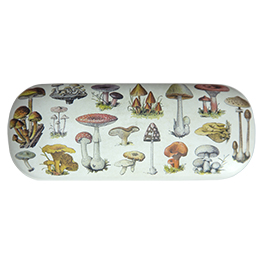 Vintage Mushroom Glasses Case