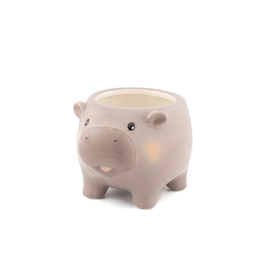 Hippo Planter