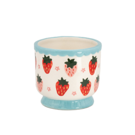 Strawberry Fruit Mini Planter