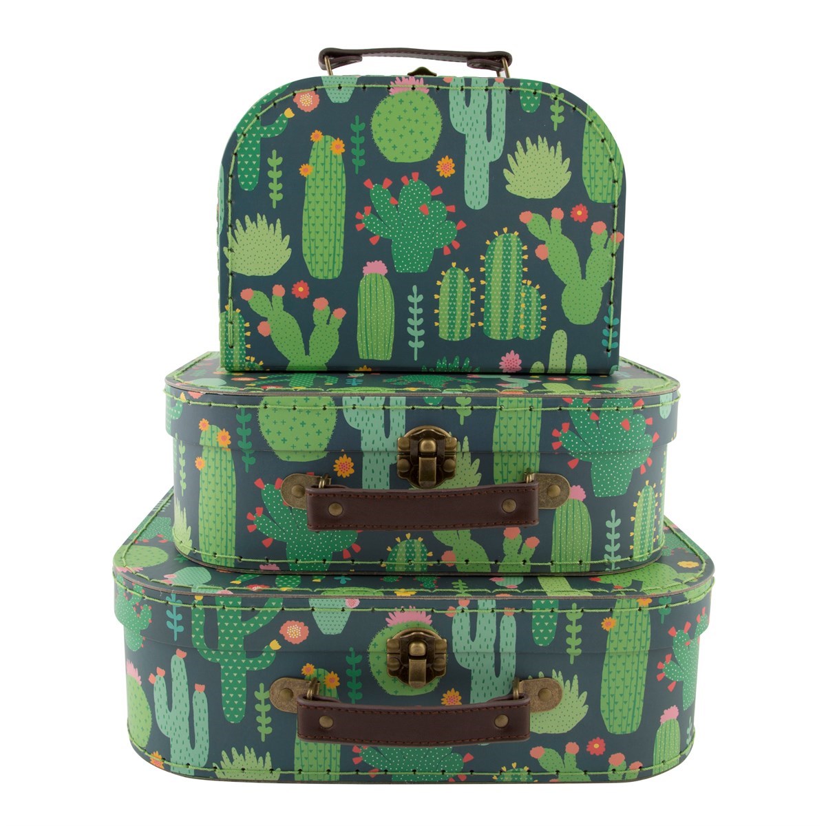 cactus luggage