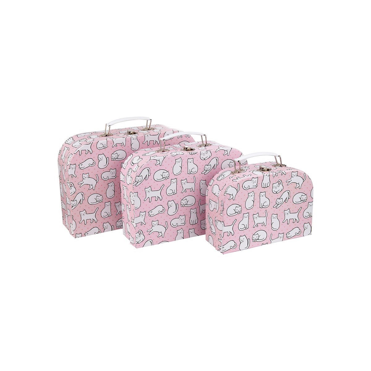 cat luggage set
