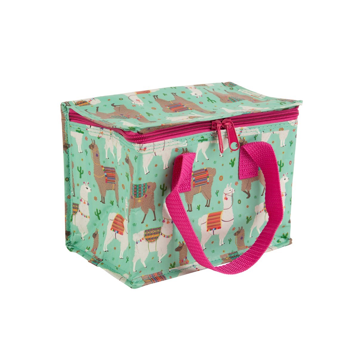 sass and belle lunch box