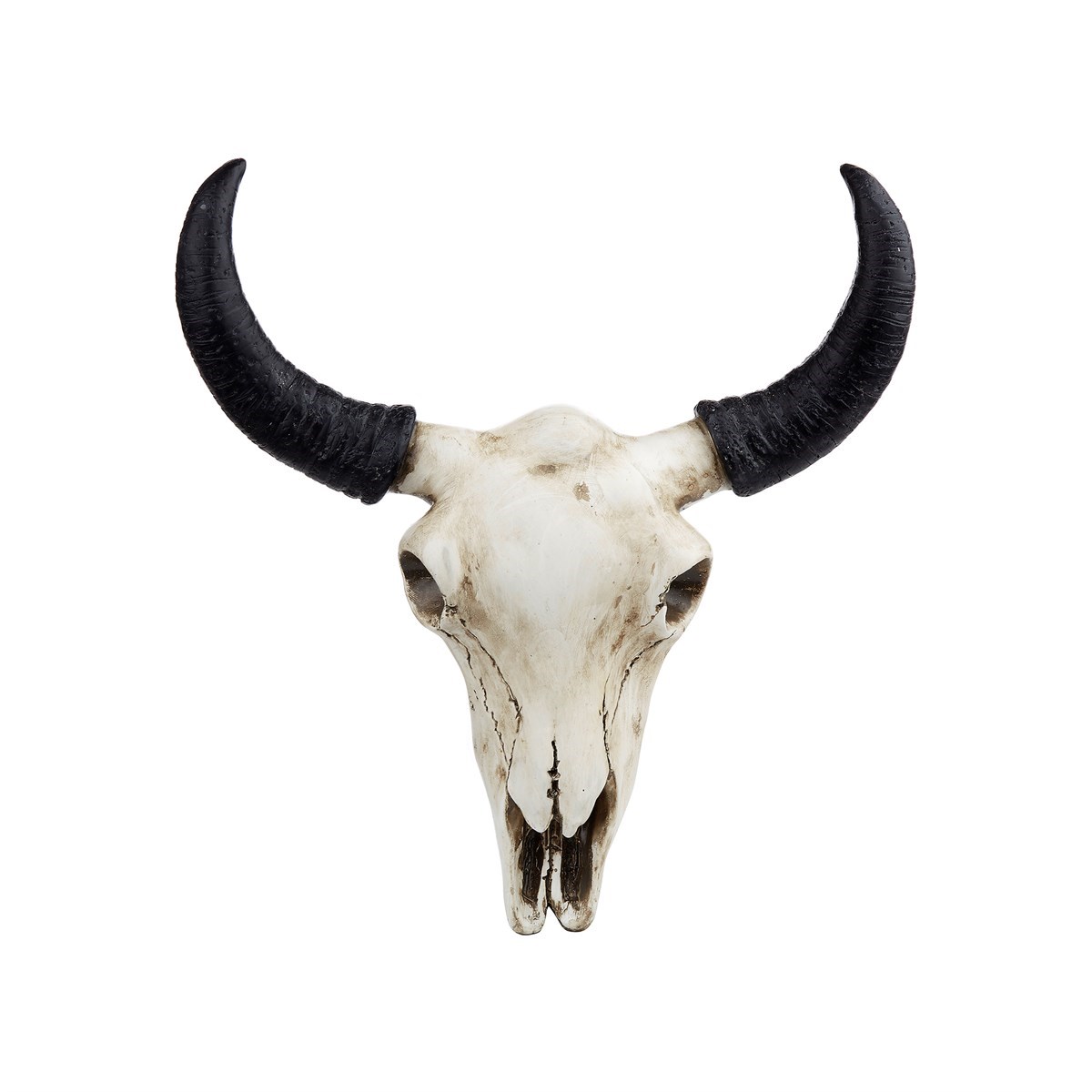 Buffalo Desert Skull Wall Decoration