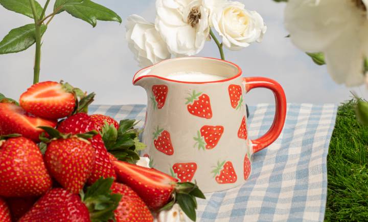 Garden Picnicware