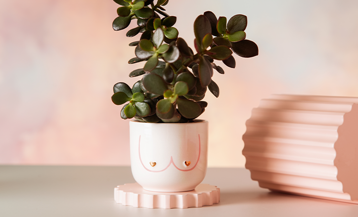 Planters & Vases
