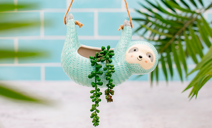 Gifts for Plant Parents