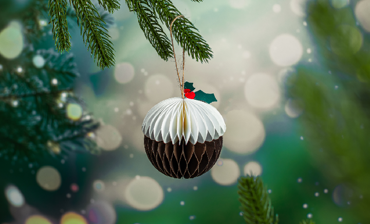 Sustainable Christmas Decorations