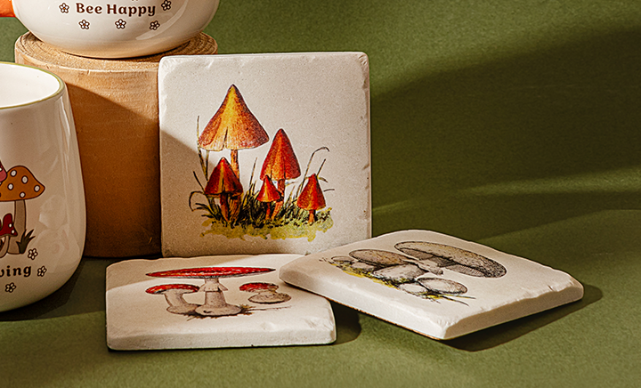 Cute Coasters Sets