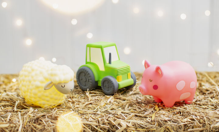 Farmyard Friends Gifts for Kids