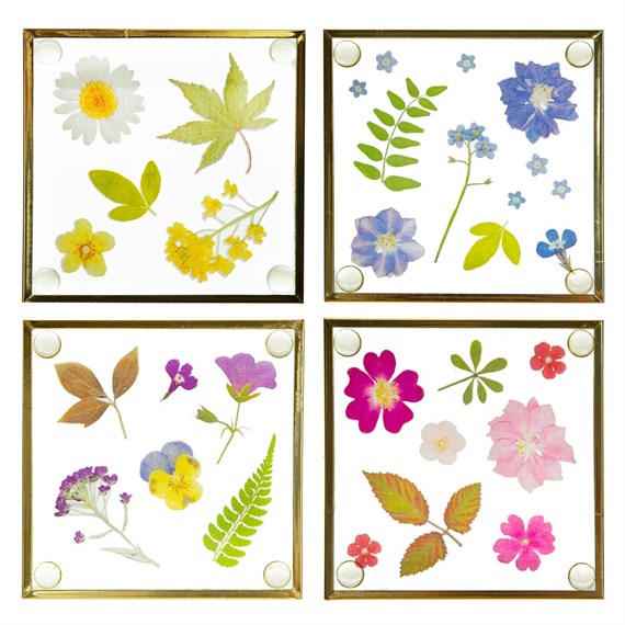 Flower Print Glass Coasters